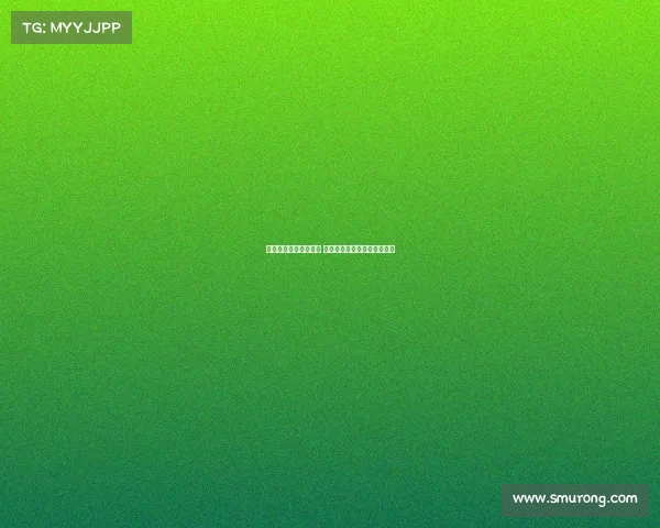 哈努斯或离开莱斯特城 热刺利兹联竞相争夺转会机会